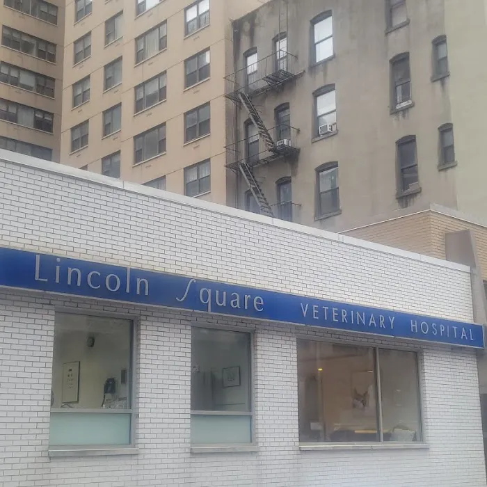 Lincoln Square Veterinary Hospital 2