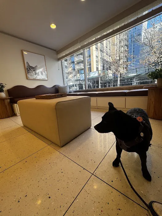 Lincoln Square Veterinary Hospital 10