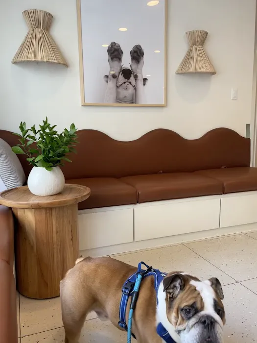 Lincoln Square Veterinary Hospital 5