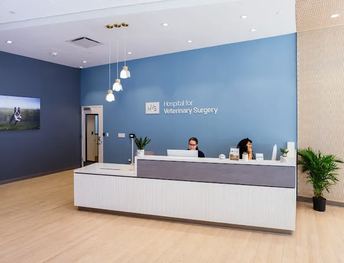 Hospital For Veterinary Surgery 8