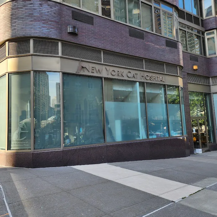 New York Cat Hospital 7