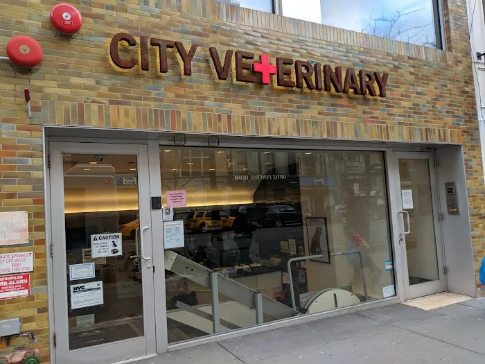 City Veterinary Care 4