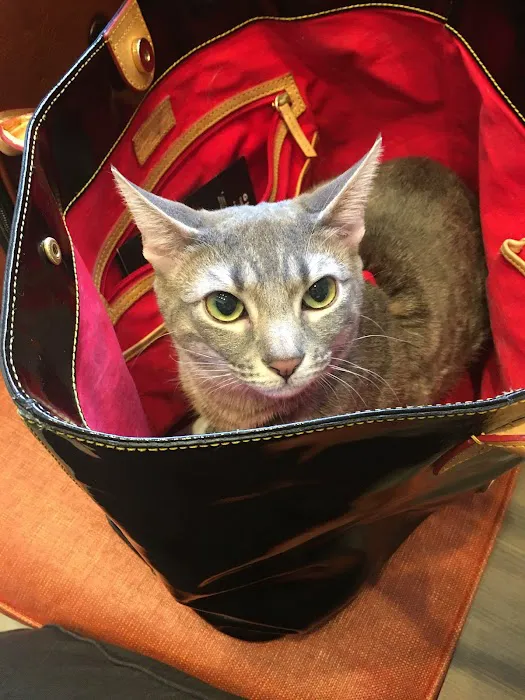 City Veterinary Care 5