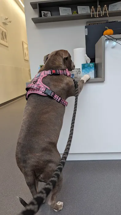 Riverside Veterinary Care on Columbus 2