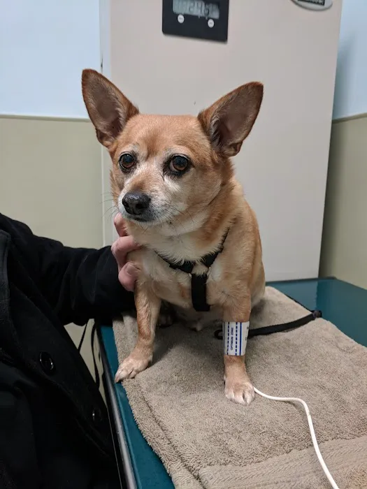 Riverside Veterinary Care on Columbus 4
