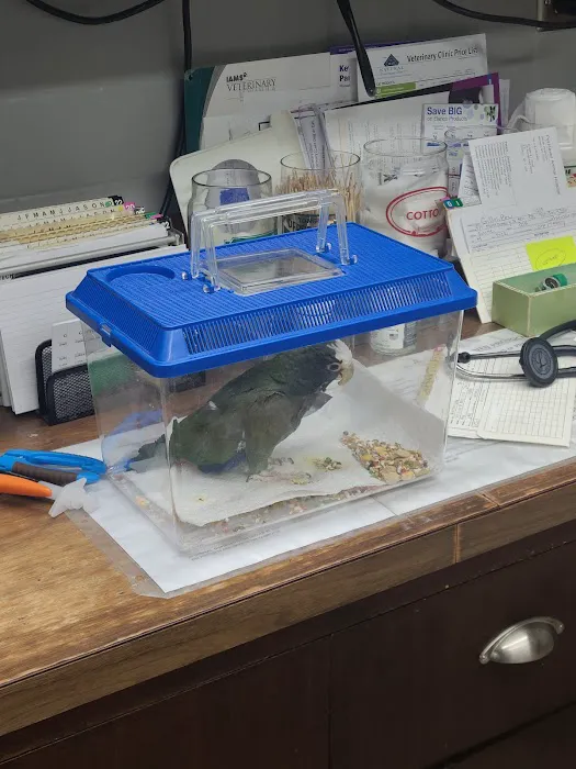 Pet Haven Animal Hospital 12