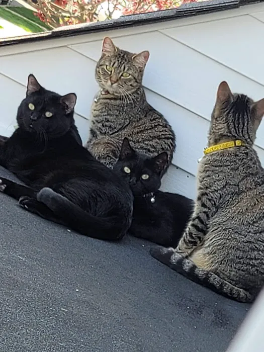 Pet Haven Animal Hospital 12