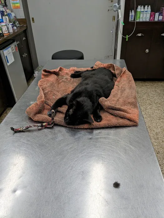 Pet Haven Animal Hospital 12