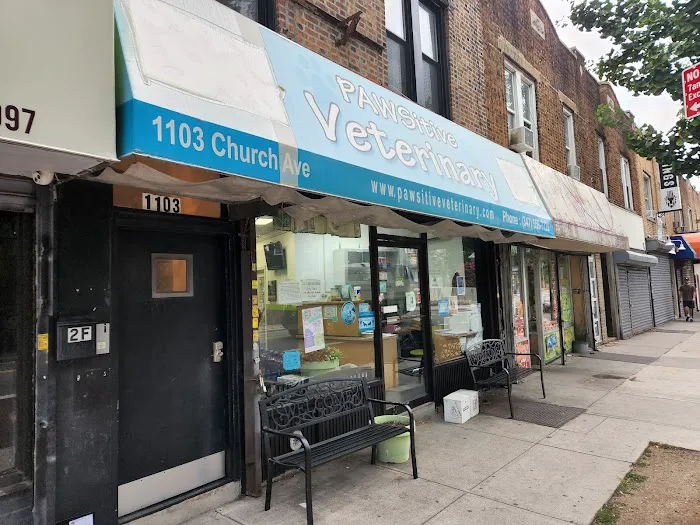 PAWSitive Veterinary of New York 9