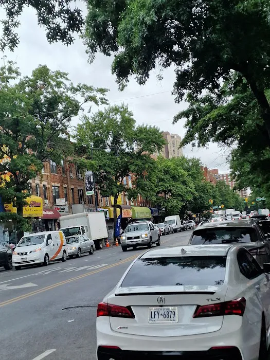 Heart of Brooklyn Veterinary Hospital - Flatbush 8