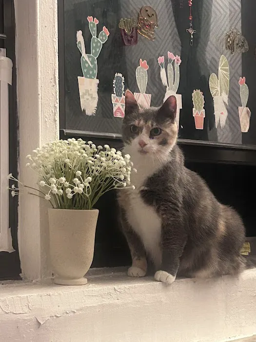 Heart of Brooklyn Veterinary Hospital - Flatbush 4