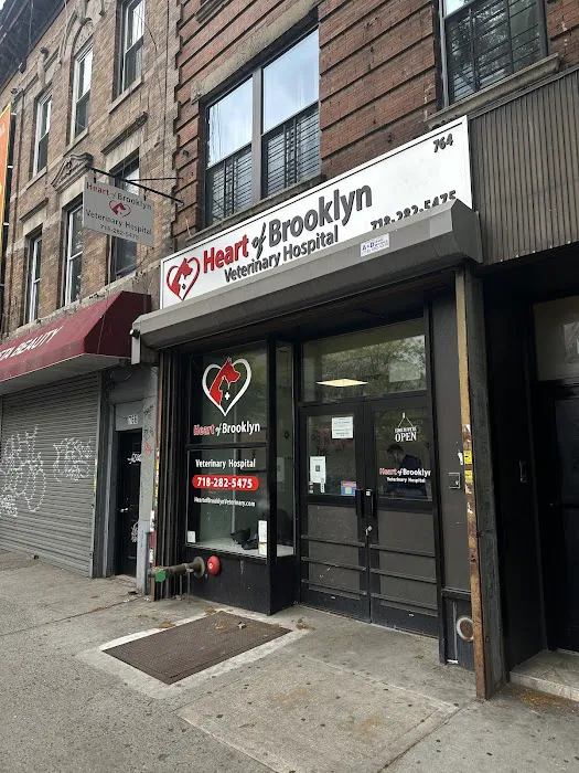 Heart of Brooklyn Veterinary Hospital - Flatbush 7