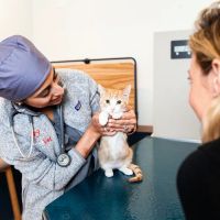Bond Vet - Ditmas Park ico