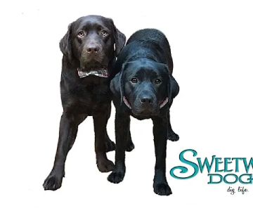 Sweetwater Dogs