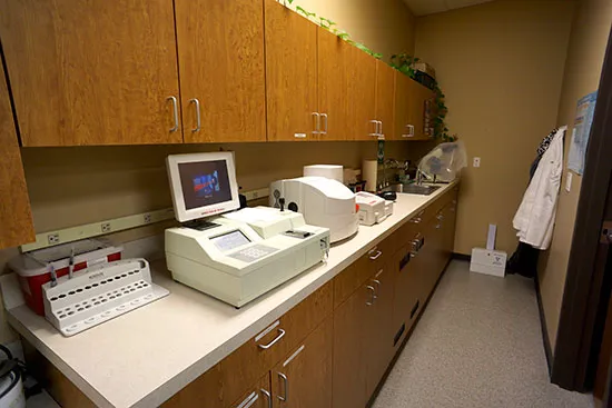 Pawz Veterinary Clinic 4