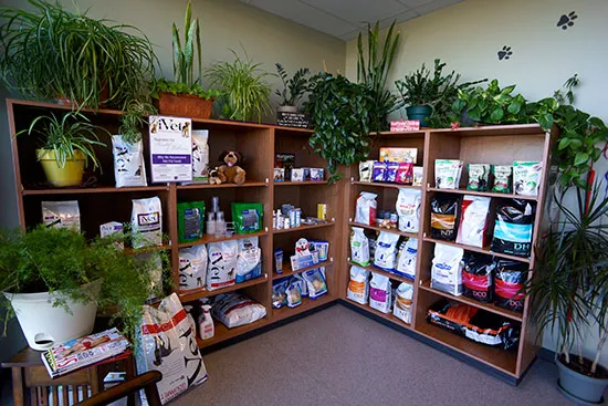 Pawz Veterinary Clinic 5