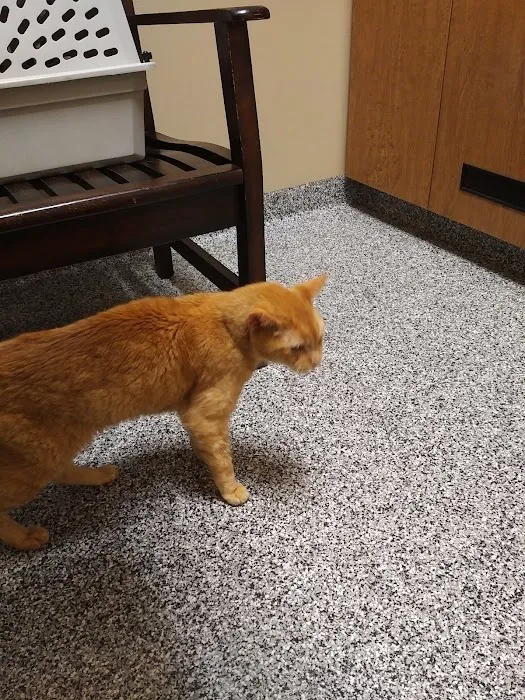 Pawz Veterinary Clinic 9