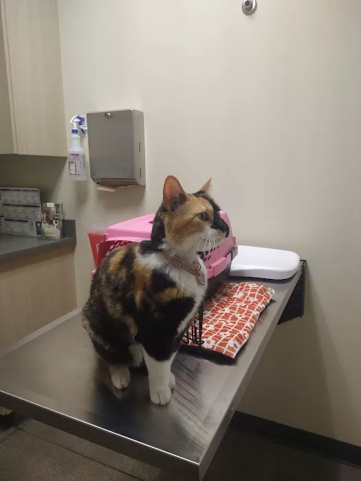 Vetco Total Care Animal Hospital 12