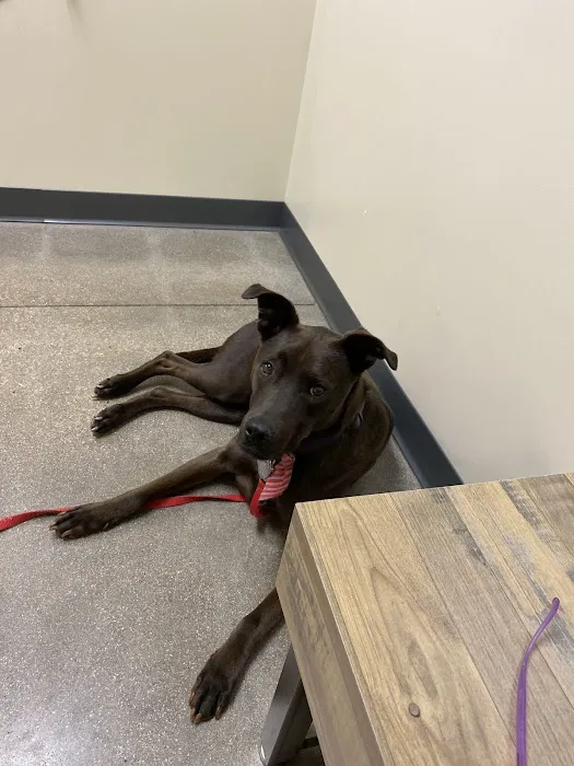Vetco Total Care Animal Hospital 12