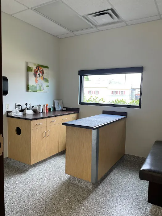 Longmont Small Animal Hospital 5