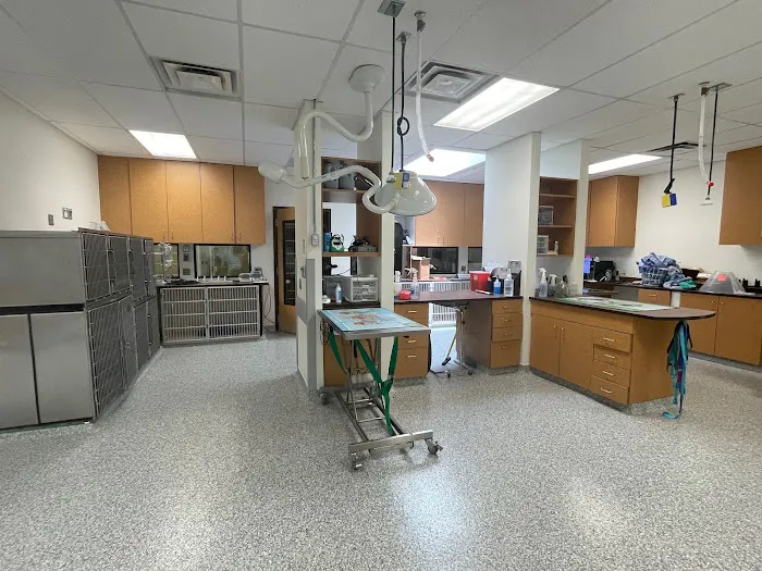 Longmont Small Animal Hospital 1