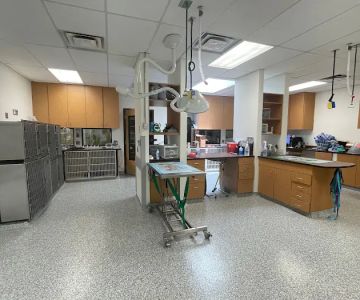 Longmont Small Animal Hospital