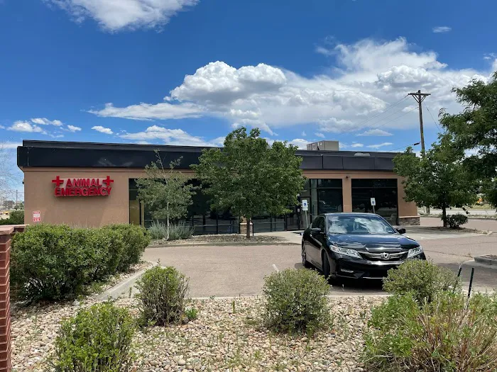 Longmont Small Animal Hospital 9