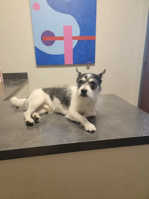 Mead Veterinary Medical Center 5