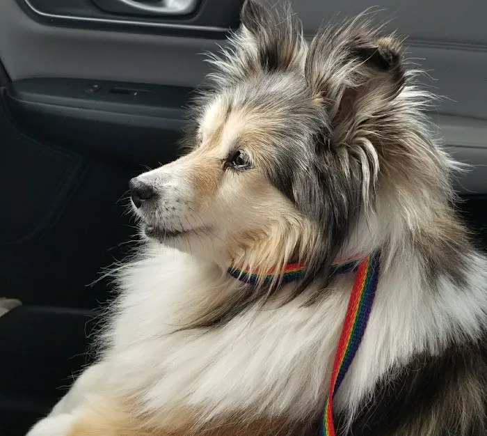 Peila, Jeff DVM 1