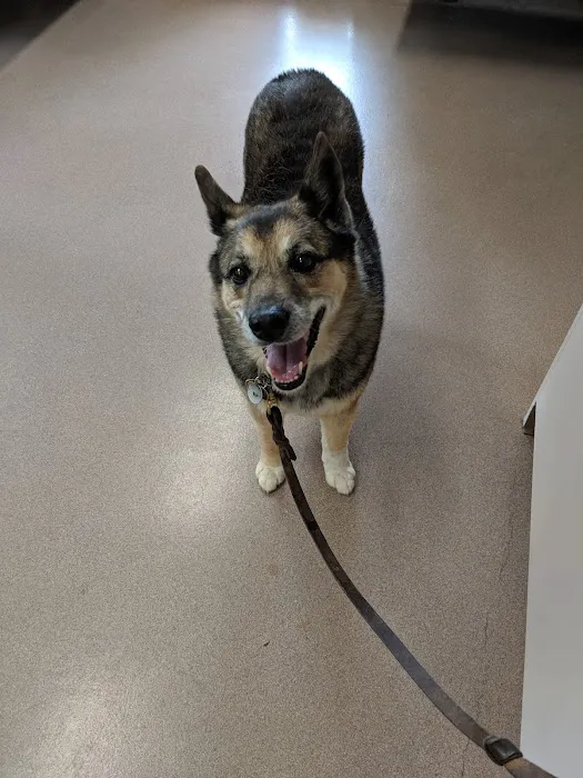 Valley Veterinary Hospital 5