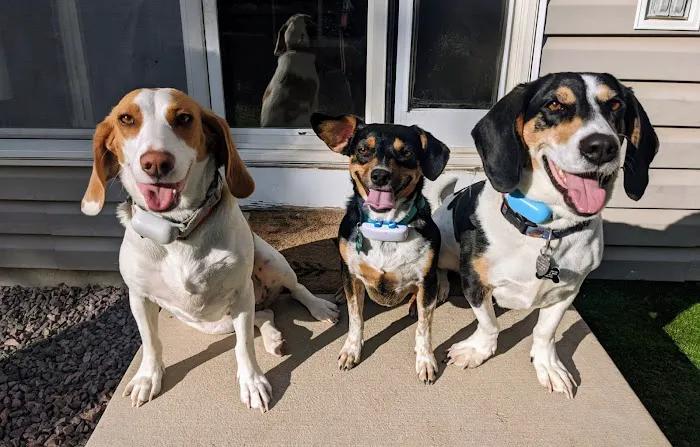Valley Veterinary Hospital 8