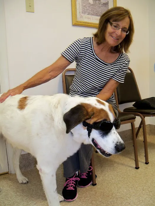 Valley Veterinary Hospital 7