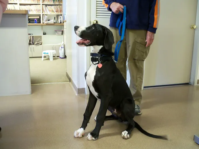 Valley Veterinary Hospital 6