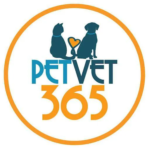 PetVet365 Pet Hospital Boulder 12