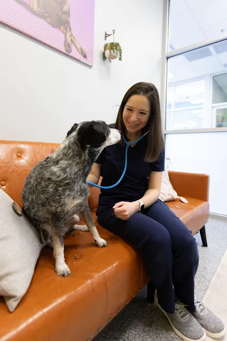 PetVet365 Pet Hospital Boulder 12