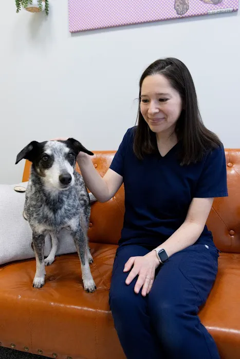 PetVet365 Pet Hospital Boulder 12