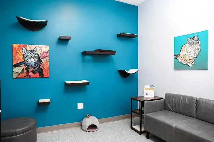 PetVet365 Pet Hospital Boulder 12
