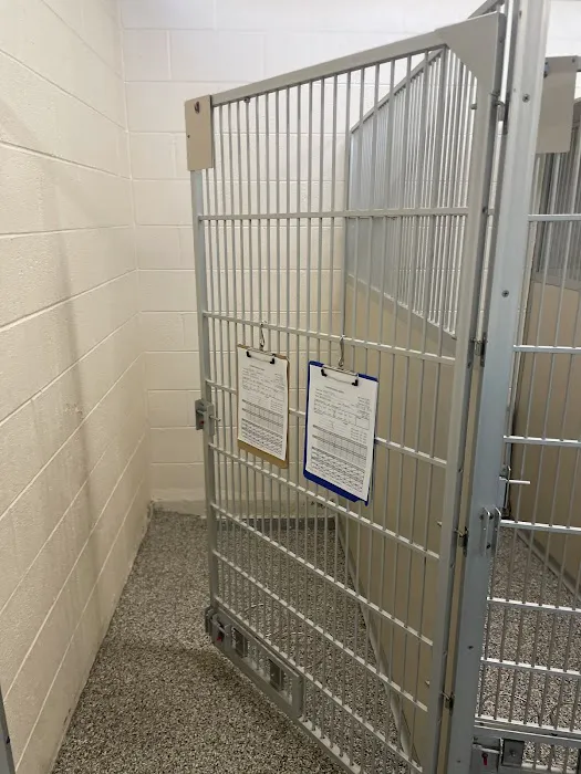 Gunbarrel Veterinary Hospital 12