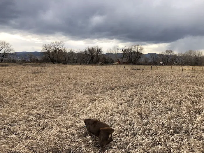 Gunbarrel Veterinary Hospital 12