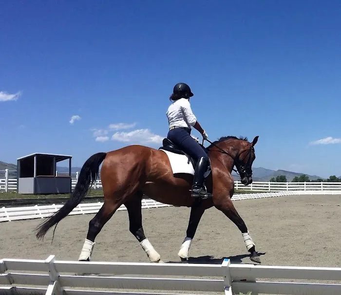 VetweRx Equine North 7