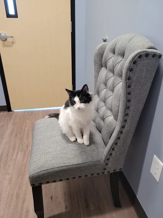 Clover Basin Animal Hospital 1