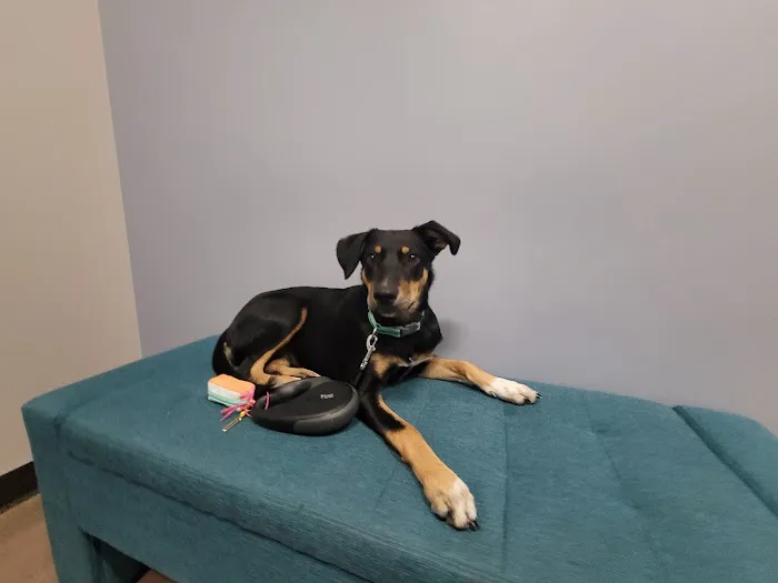 Clover Basin Animal Hospital 3