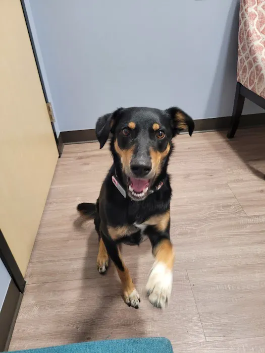 Clover Basin Animal Hospital 2