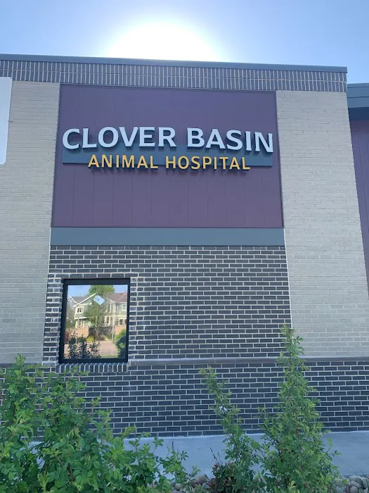 Clover Basin Animal Hospital 9