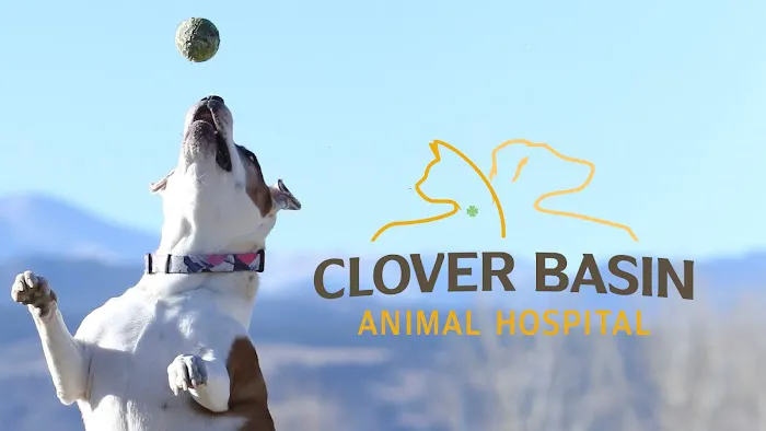 Clover Basin Animal Hospital 8