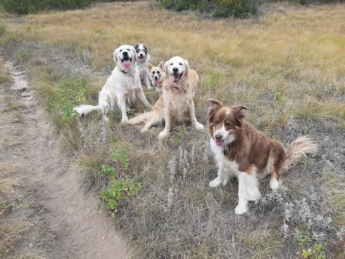 VCA Front Range Animal Hospital 3