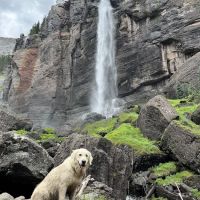 VCA Front Range Animal Hospital ico