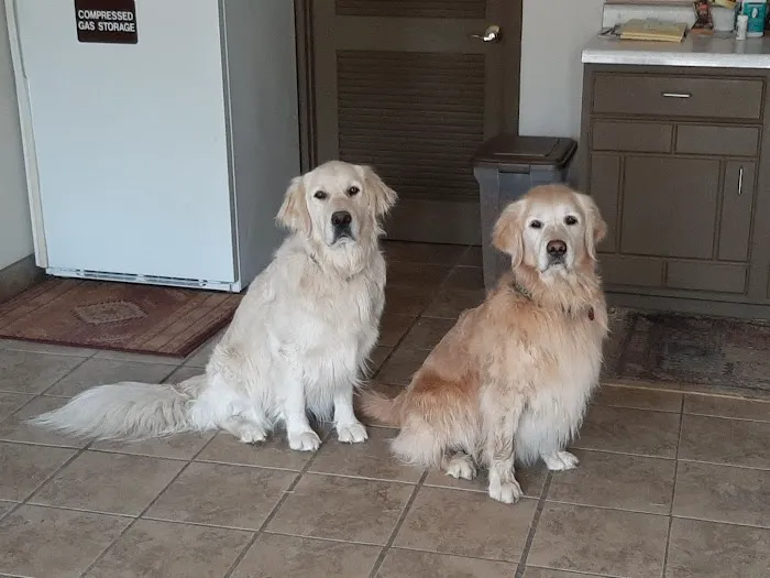 VCA Front Range Animal Hospital 5