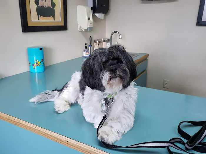 Woodmoor Veterinary Hospital 7