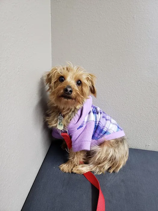 Woodmoor Veterinary Hospital 6